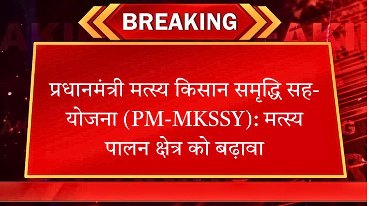 प्रधानमंत्री मत्स्य किसान समृद्धि सह-योजना (PM-MKSSY)