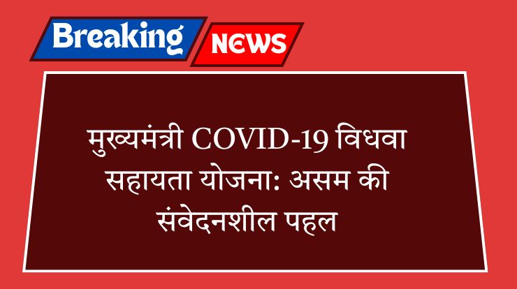 मुख्यमंत्री COVID-19 विधवा सहायता योजना